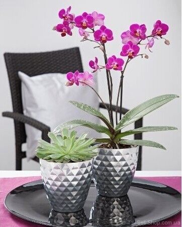 Кашпо для квітів Mirror Silver кераміка 14 дзеркальний із фактурою 58685 Кашпо для квітів Mirror Silver кераміка 14 дзеркальний із фактурою 58685