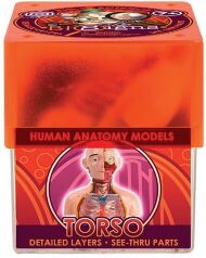 Розвиваюча гра Око E2370EE