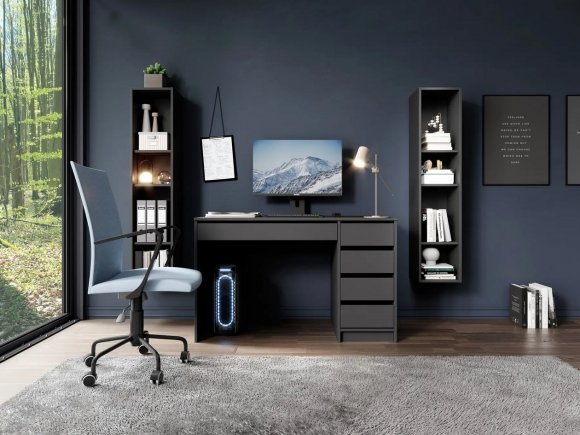 Стіл туалетний письмовий Perfect Home Ада / Ada 5S/120 з 5 шухлядами Антрацит (PFH-091308) Стіл туалетний письмовий Perfect Home Ада / Ada 5S/120 з 5 шухлядами Антрацит (PFH-091308)