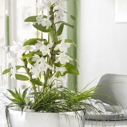 Кашпо для квітів Mirror Silver кераміка 17 дзеркальний 58691 Кашпо для квітів Mirror Silver кераміка 17 дзеркальний 58691