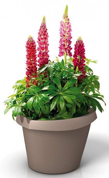 Кашпо для квітів Trigon пластик 30 сірий 55320