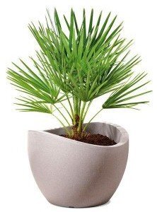 Кашпо для квітів Wave Globe пластик 30 гранітно-коричневий 53383 Кашпо для квітів Wave Globe пластик 30 гранітно-коричневий 53383