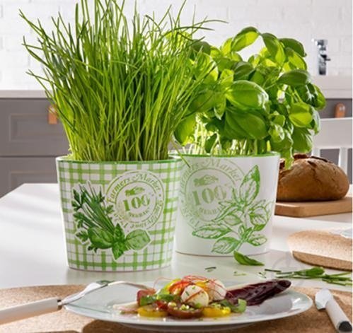 Кашпо для квітів Herbs керамічне 14 Farmers 60456