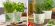 Кашпо для квітів Herbs керамічне 14 Farmers 60456