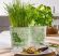 Кашпо для квітів Herbs керамічне 14 Delicious 60456