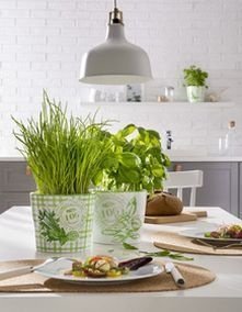 Кашпо для квітів Herbs керамічне 14 Delicious 60456 Кашпо для квітів Herbs керамічне 14 Delicious 60456