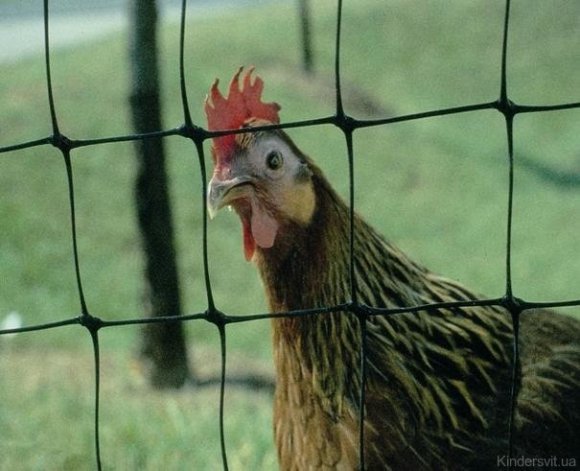 Сітка полімерна захист від птахів S-38 чорна (2х200 м) 22848 Сітка полімерна захист від птахів S-38 чорна (2х200 м) 22848