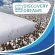 Матрас Discovery Cocos Еко 60х120х8 см