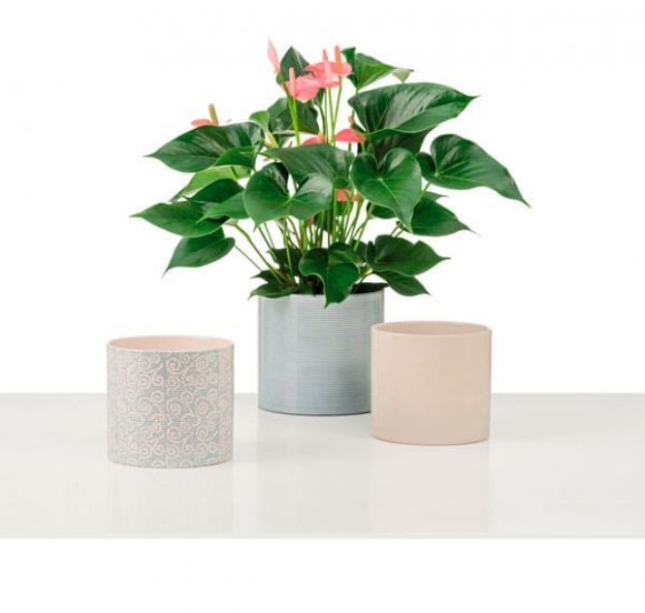 Кашпо для квітів Inspiration кераміка 14" молочний 53651