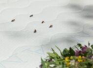 Наматрацник льняний з бджолиними фітонцидами Flax 70х170 см