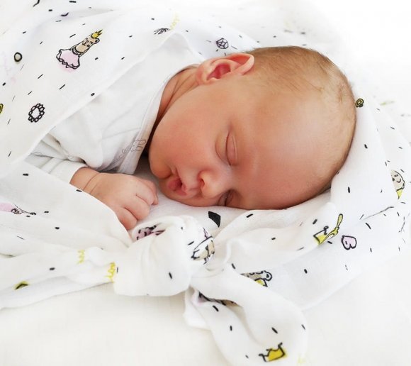 Пелюшка муслінова-плед 100x100 см Princess lullalove-8992 Пелюшка муслінова-плед 100x100 см Princess lullalove-8992