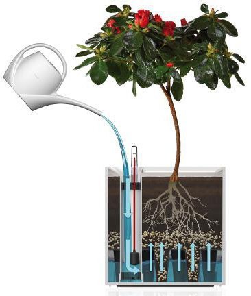 Розумний вазон Cubico Flower Lover 21 см 41118053 пурпуровий глянцевий