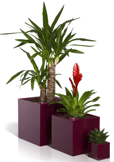 Розумний вазон Cubico Flower Lover 21 см 41118053 пурпуровий глянцевий