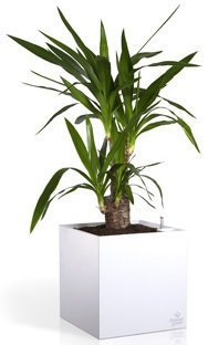 Розумний вазон Cubico Flower Lover 27 см 41118061 Білий глянсовий Розумний вазон Cubico Flower Lover 27 см 41118061 Білий глянсовий