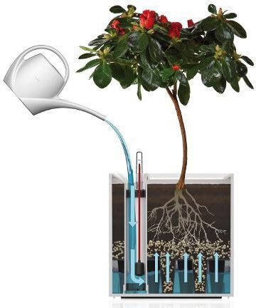 Вазон із системою автополиву Cubico Flower Lover 21x21x21 чорний глянцевий 23177 Вазон із системою автополиву Cubico Flower Lover 21x21x21 чорний глянцевий 23177