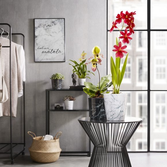 Кашпо для квітів Texture кераміка 15" білий 60402 Кашпо для квітів Texture кераміка 15" білий 60402