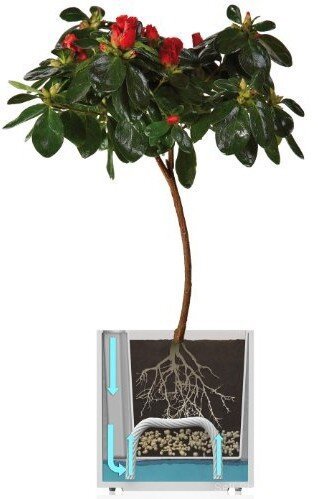 Розумний вазон Cubico Flower Lover 33 см чорний глянсовий 4111809 Розумний вазон Cubico Flower Lover 33 см чорний глянсовий 4111809