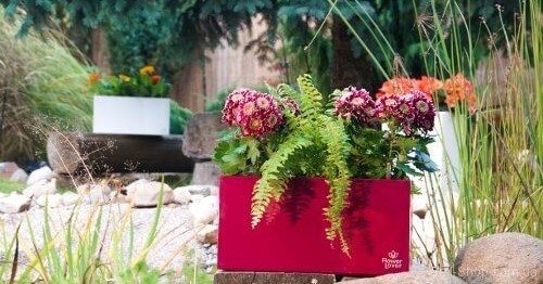 Розумний вазон Cubico Flower Lover 42 см червоний глянсовий 41118070 Розумний вазон Cubico Flower Lover 42 см червоний глянсовий 41118070