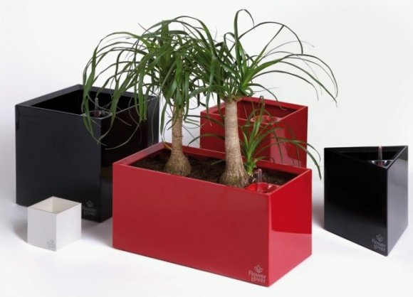 Розумний вазон Cubico Flower Lover 42 см червоний глянсовий 41118070 Розумний вазон Cubico Flower Lover 42 см червоний глянсовий 41118070