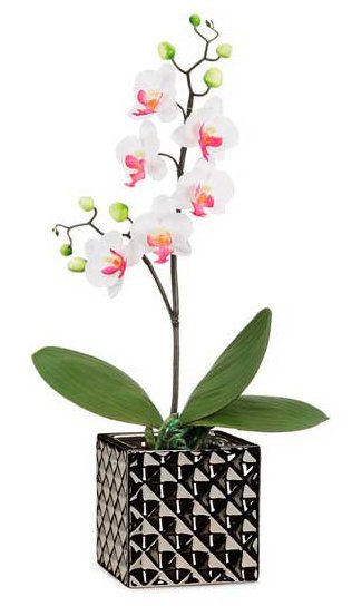 Кашпо для квітів Crystal кераміка 11" куб сріблясто-чорний 62213 Кашпо для квітів Crystal кераміка 11" куб сріблясто-чорний 62213