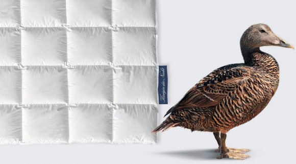 Ковдра пухова Konigin Der Nacht 220х240 см Ковдра пухова Konigin Der Nacht 220х240 см