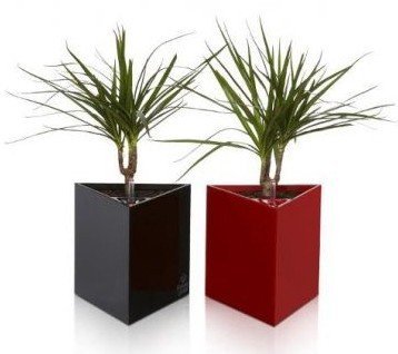 Розумний вазон Flower Lover Triangle 14 см червоний глянцевий 41118130 Розумний вазон Flower Lover Triangle 14 см червоний глянцевий 41118130