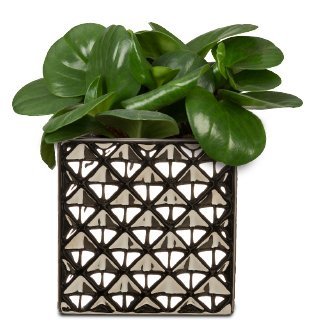 Кашпо для квітів Crystal кераміка 17" куб сріблясто-чорний 62215