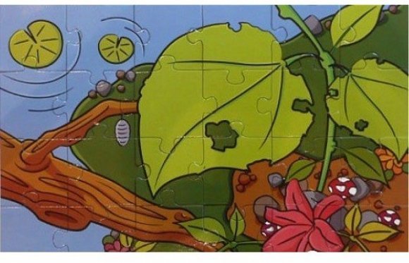 Ігровий набір Комахи (T096) Ігровий набір Комахи (T096)