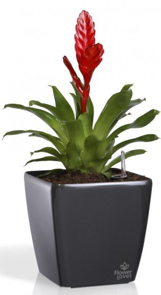 Розумний вазон Quadrato Flower Lover 34 см 41116643 Білий глянсовий Розумний вазон Quadrato Flower Lover 34 см 41116643 Білий глянсовий