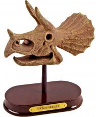 Набір юного археолога Трицератопс череп 14640