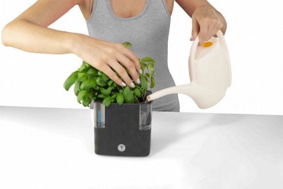 Вазон із системою автополиву Cobble 2,2 л антрацит (8595096964159) 79000 Вазон із системою автополиву Cobble 2,2 л антрацит (8595096964159) 79000