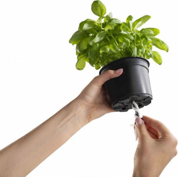 Вазон із системою автополиву Cobble 2,2 л антрацит (8595096964159) 79000 Вазон із системою автополиву Cobble 2,2 л антрацит (8595096964159) 79000