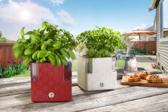 Вазон із системою автополиву Cobble 2,2 л білий (8595096964111) 78999