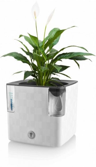 Вазон із системою автополиву Cobble 2,2 л білий (8595096964111) 78999