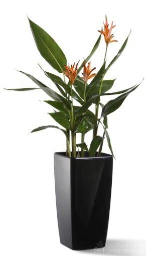 Розумний вазон Quadrato Flower Lover 34 см чорний глянсовий 4111665