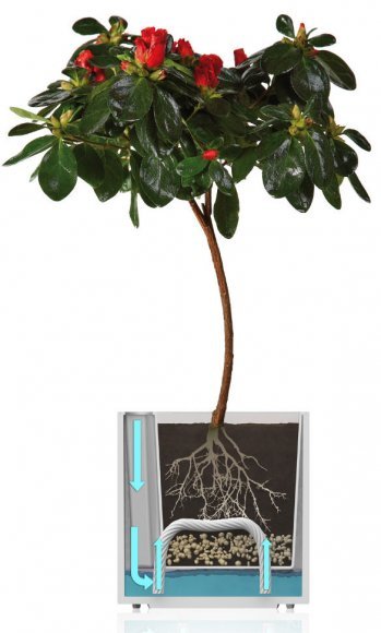 Розумний вазон Triangle Flower Lover 14 см 4111813 чорний глянцевий Розумний вазон Triangle Flower Lover 14 см 4111813 чорний глянцевий