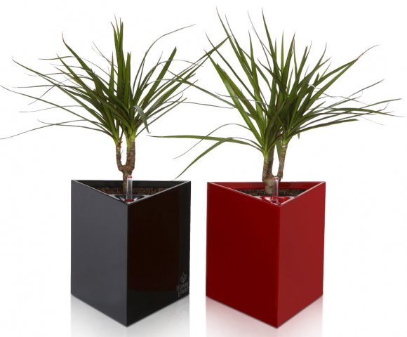 Розумний вазон Triangle Flower Lover 14 см 4111813 чорний глянцевий Розумний вазон Triangle Flower Lover 14 см 4111813 чорний глянцевий