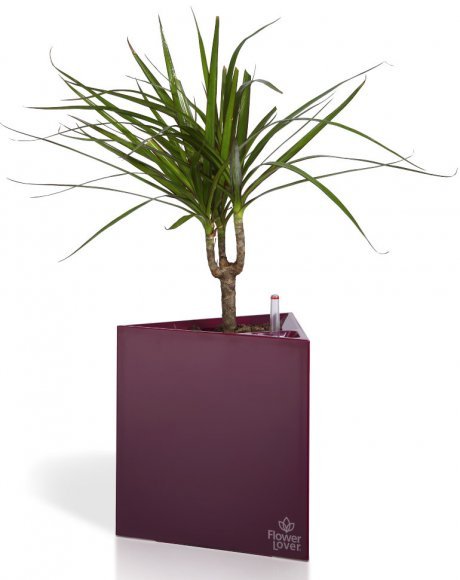 Розумний вазон Triangle Flower Lover 21 см 41118083 пурпуровий глянцевий