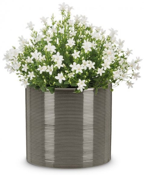 Кашпо для квітів Inspiration кераміка 16 сірий 97760 Кашпо для квітів Inspiration кераміка 16 сірий 97760