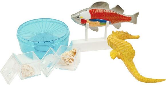 Игровой набор Изучение моря Professor EIN-O E2348 Игровой набор Изучение моря Professor EIN-O E2348