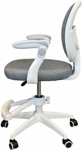 Крісло обертове дитяче з підставкою для ніг PERFECT KIDS GRAY Perfect Home Сірий (PFH-092117) Крісло обертове дитяче з підставкою для ніг PERFECT KIDS GRAY Perfect Home Сірий (PFH-092117)