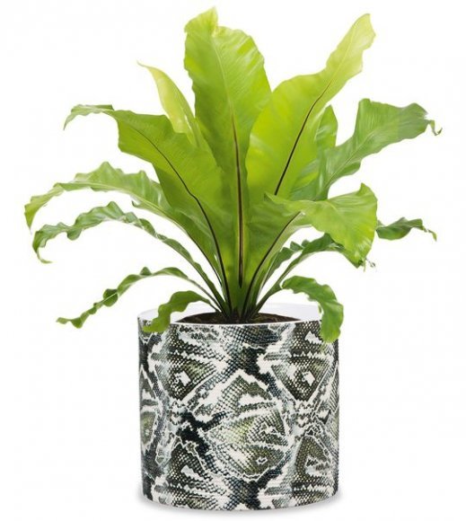 Кашпо для квітів Inspiration кераміка 14 рептилія 97765