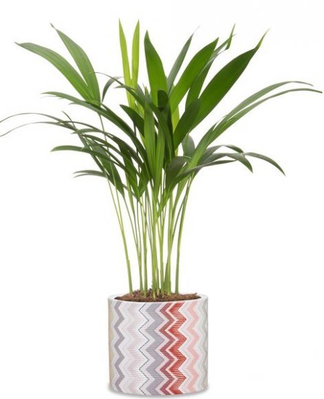 Кашпо для квітів Inspiration кераміка 12 дизайнерські 97772 Кашпо для квітів Inspiration кераміка 12 дизайнерські 97772