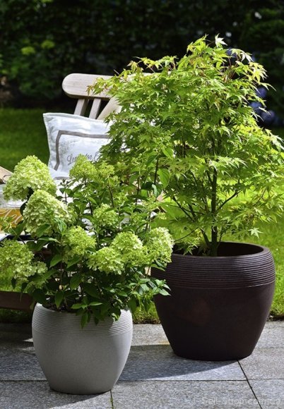 Кашпо для квітів Lineo пластик 30 песочный 56521 Кашпо для квітів Lineo пластик 30 песочный 56521