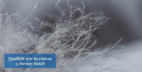 Ковдра Classic 140х210 см + 1 подушка 40х60 см 88041 Ковдра Classic 140х210 см + 1 подушка 40х60 см 88041