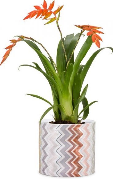 Кашпо для квітів Inspiration кераміка 16 дизайнерські 97774