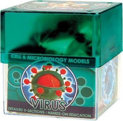 Развивающая игра Вирус Professor EIN-O E2371VS Развивающая игра Вирус Professor EIN-O E2371VS